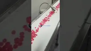 Fully automatic starch mogul line for gummy making #cbdgummies #dietarysupplements #cbdmarketing