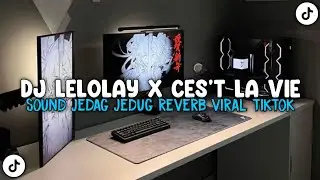DJ LELOLAY X CES'T LA VIE SOUND JEDAG JEDUG REVERB YANG KALIAN CARI VIRAL TIKTOK TERBARU 2025