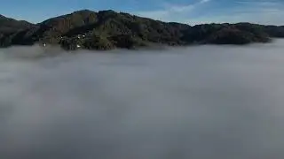 Flying through the fog (Drava valley)-NE Slovenia (22.10.2025)