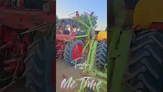 Rhodes Grass Cutting Machines