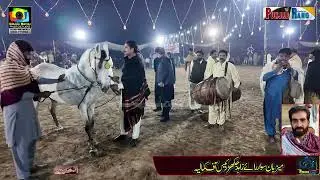Shula Vs Shula l 8 November 2025 Chak No 739 Moza Jakhar Kamalia