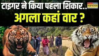 Lucknow Tiger News: इंसानी बस्ती में आए 'खूंखार'..शहर-शहर हाहाकार! | Hindi News