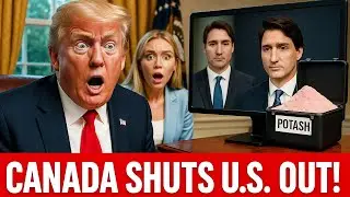 How Canada STRIKES BACK as Detroit Faces Collapse