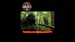 The Battle of the Cryptids: Bigfoot vs Owl