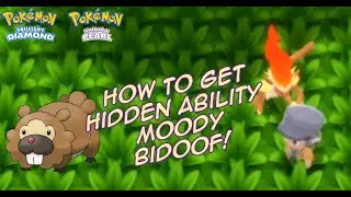 Where to Get Hidden Ability Moody Bidoof - Pok&eacute;mon Brilliant Diamond and Shining Pearl