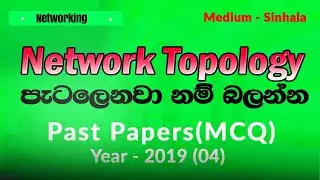 💔A/L ICT 2019 MCQ 04 | Network Topologies Sinhala Explanation | AL ICT 2025 Model Papers