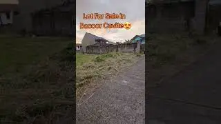 Lot for Sale Town and Country west Molino 3 Bacoor cavite 320sqm regular cut.       16k/sqm