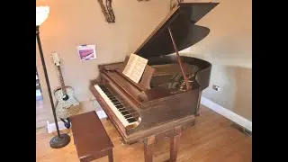 1920 Steinway Piano Model XR For Sale