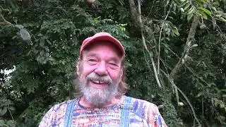 Слово дня — ЛЕД