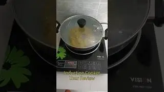 Induction Cooker Super Fast Cooking | Vision Induction Cooker Review #induction