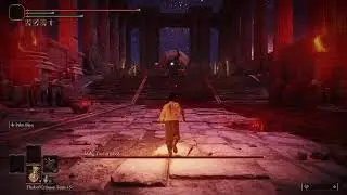 Can I BEAT Elden Ring's DLC with MARTIAL ARTS? (Part 3)