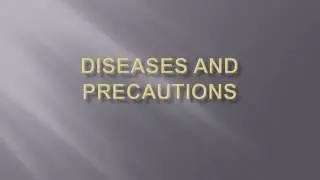 Diseases And Precautions