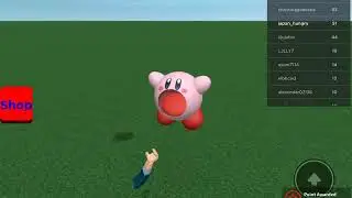 Kirby ate me in the natural elevator