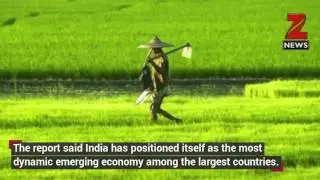 India is fastest growing economy, to grow by 7.7% in FY 2017: UN report
