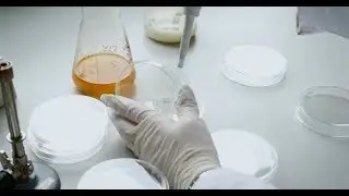 Stilla Technologies - Crystal Digital PCR&trade;- the next generation genetic testing solution