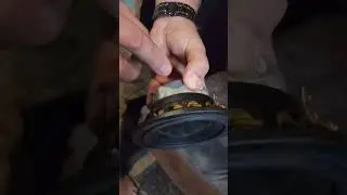 Евгений Мелентьев про динамики от Morel
