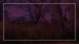 1765 N Syosett Road Avon Park, FL 33825
