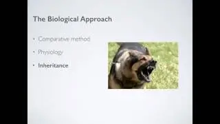 The Biological Approach