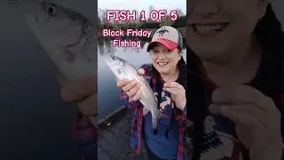 Black Friday Fishing Maxed Trout Limit! Fish 1 of 5 highlight. #girlswhofish #troutfishing #fishing