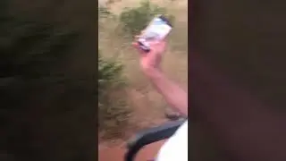 Too Close for Comfort: A Fearful Hyena Encounter on Safari😱😱