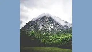 Chirashe x Foolie $urfin' - Summit