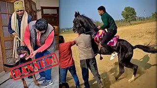 Ye DOG Ban Hogya😰😭GHAR Par POLICE Aagyi😱