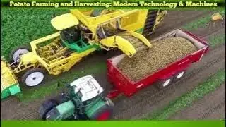 Potato Farming and Harvesting: Modern Technology & Machines