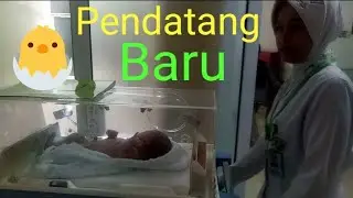 Rumah sakit hermina pandanaran (SEMARANG).