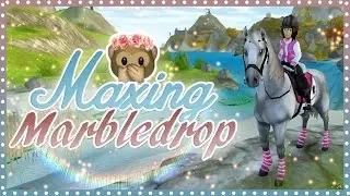 Maxing my Lipizzan horse Marbledrop to level 15 | Star Stable