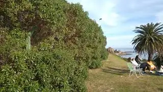 Canteras del parque Rod&oacute;,  Montevideo (cuarta parte)