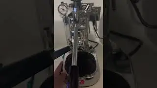 Grinder workflow #niche #coffee  #espresso  #espressolover #pavoni #nichezero #asmr #shorts