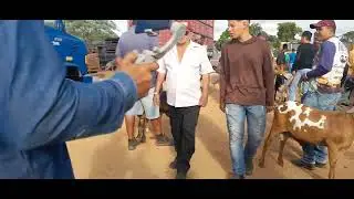 Feira do ouvino e caprino em Buíque do dia 17/01/2025
