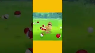 INSANE Pok&eacute;mon Fact! EPIC Pok&eacute;mon Pack Openings!