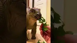 Realistic Dinosaur Toy Enjoys a Leafy Snack! 🦖🌿
