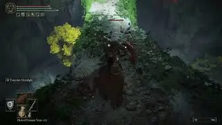 Elden Ring - Timed Block Parry Mod