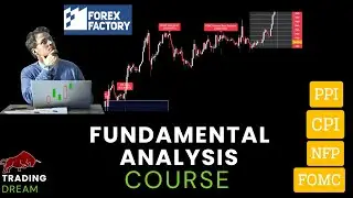 || Tools Used By Central Banks To Control Currency Pairs For Ecnomic Stability ||