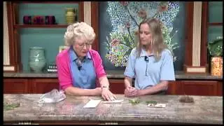 The Clemson University Plant Problem Clinic