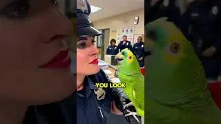 Parrot Roasts Officer's Makeup #funny #parrot #police