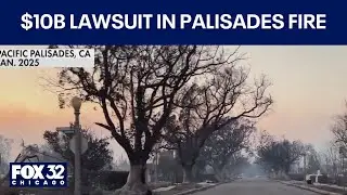 $10B lawsuit in Palisades Fire