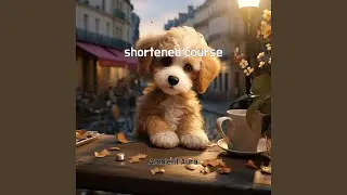 sighting whatsapp status