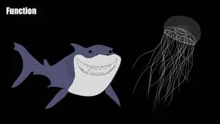 Bioluminescence in the Crystal Jellyfish (Aequorea victoria)
