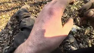Something Ancient Is Hidden Here – Roman Finds Discovered #treasure #metaldetecting #history #gold