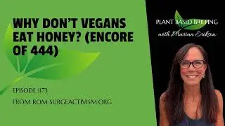 1173: Why Don&rsquo;t Vegans Eat Honey? (Encore of 444) From SurgeActivism.org