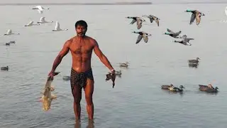 Hunting Duck | Murghabi ka shikar | Duck Hunting Indus River in pakistan