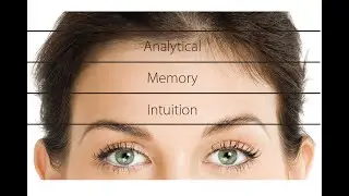 Udemy - Reading the Face