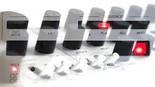 Korg Minilogue Demo (Multitrack)