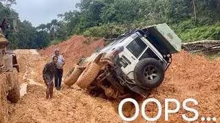 Land Cruising In The Jungle