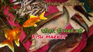 Fish Market Katihar मछली बाजार कटिहार Wholesale fish market Katihar थोक मछली बाजार कटिहार