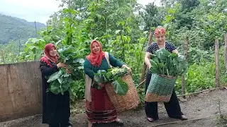 KARADENİZ KIZLARI PANCAR DERMEDE