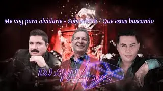 Cantinazo 2.0: Sobreviviré - Que estas Buscando - Me voy para olvidarte ( Dj Andy Palacios )